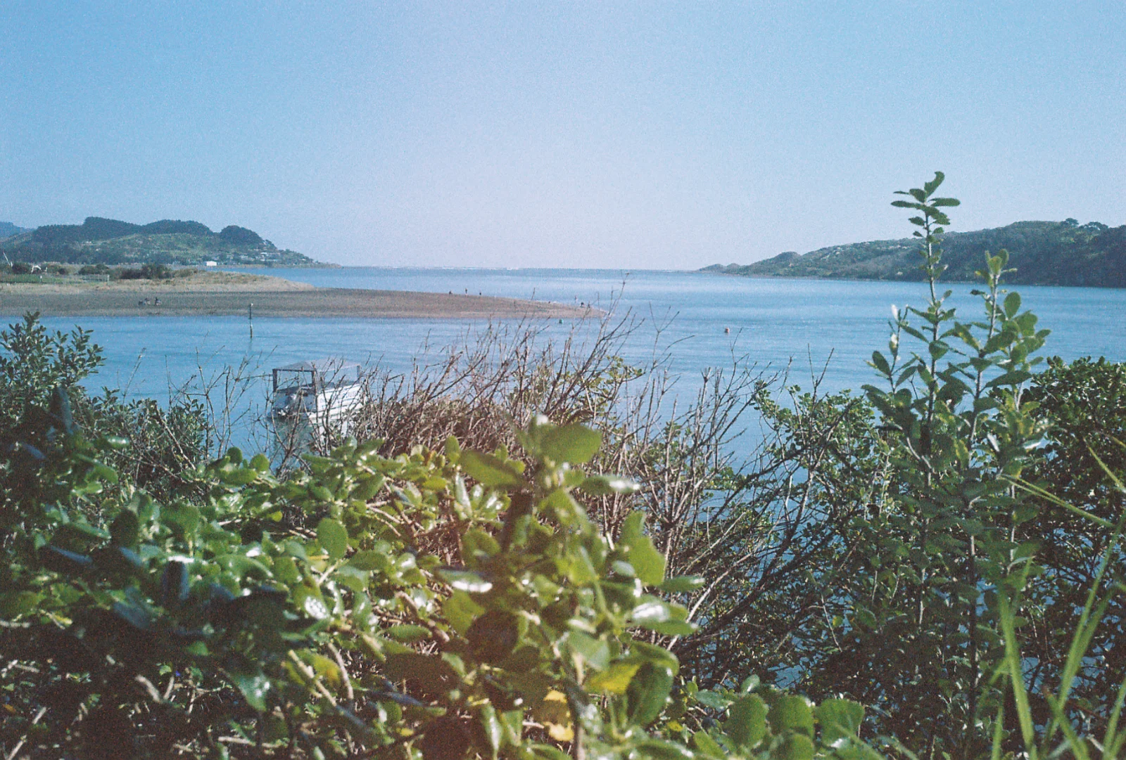 Raglan on film