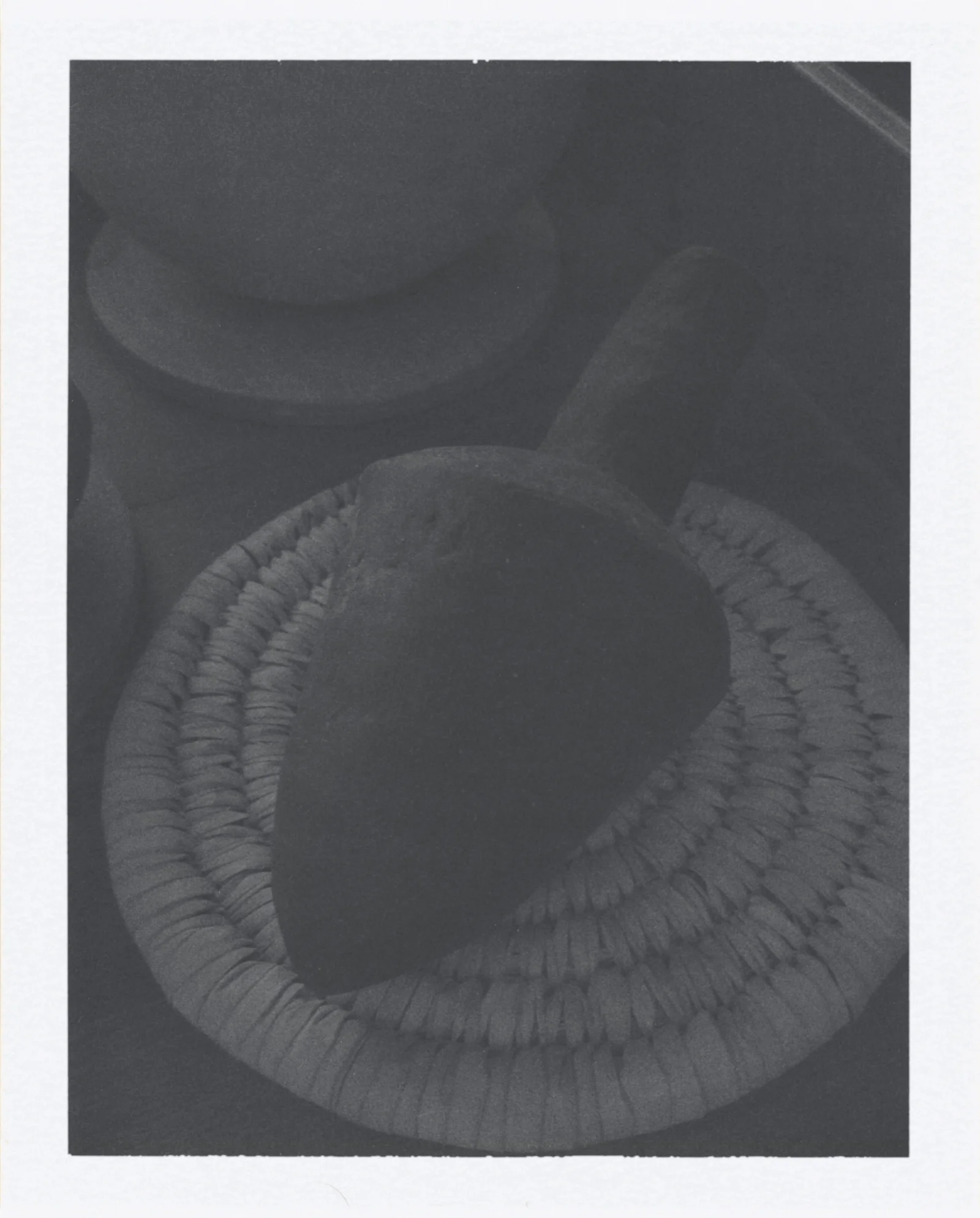 The amphora